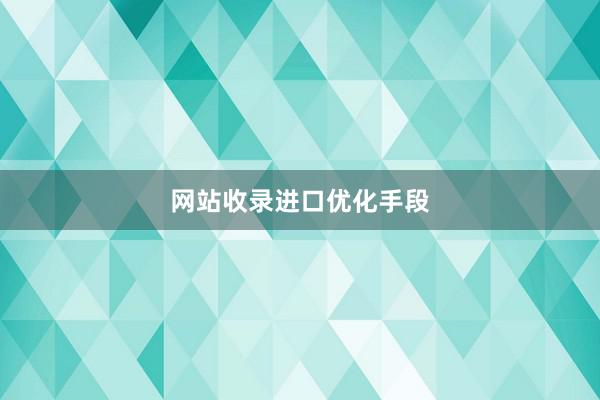 网站收录进口优化手段