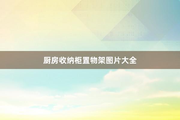 厨房收纳柜置物架图片大全
