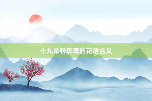 十九朵粉玫瑰的花语含义